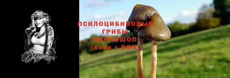 Псилоцибиновые грибы MAGIC MUSHROOMS  Магадан 